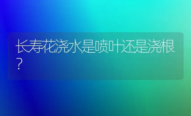 长寿花浇水是喷叶还是浇根？ | 多肉养殖