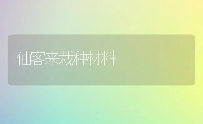 仙客来栽种材料 | 家庭养花