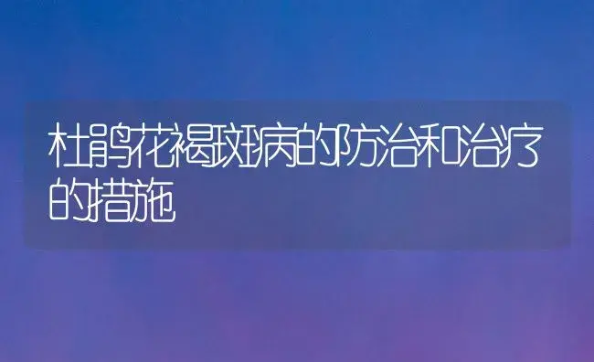 杜鹃花褐斑病的防治和治疗的措施 | 家庭养花