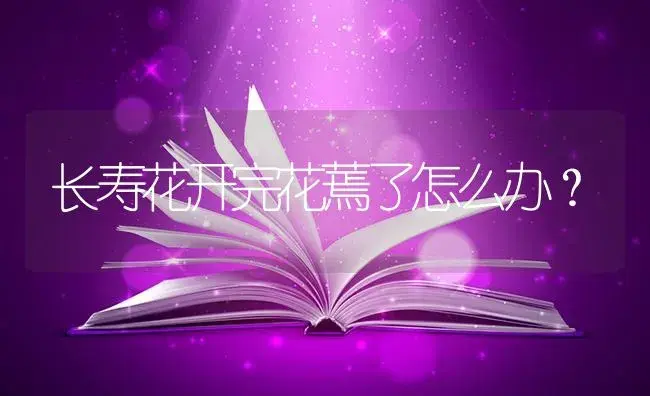 长寿花开完花蔫了怎么办？ | 多肉养殖