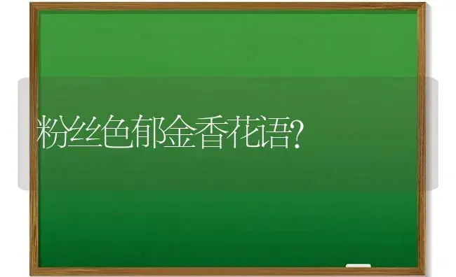 粉丝色郁金香花语？ | 绿植常识