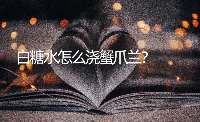 白糖水怎么浇蟹爪兰？ | 多肉养殖