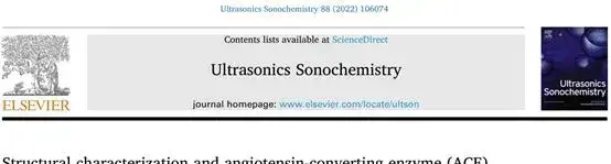 超声制备大球盖菇活性肽结构特性及其血管紧张素转换酶（ACE）抑制机制