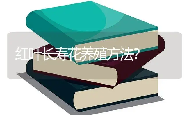 红叶长寿花养殖方法？ | 多肉养殖