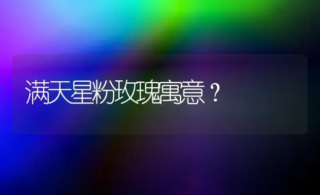 满天星粉玫瑰寓意？ | 绿植常识