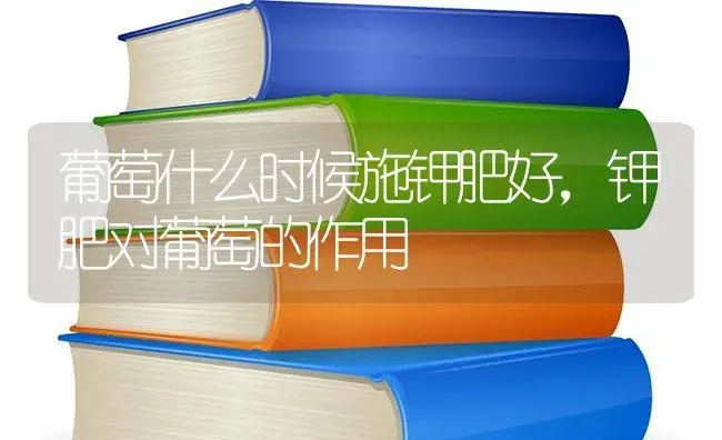 葡萄什么时候施钾肥好，钾肥对葡萄的作用 | 果木种植