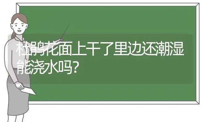 杜鹃花面上干了里边还潮湿能浇水吗？ | 绿植常识