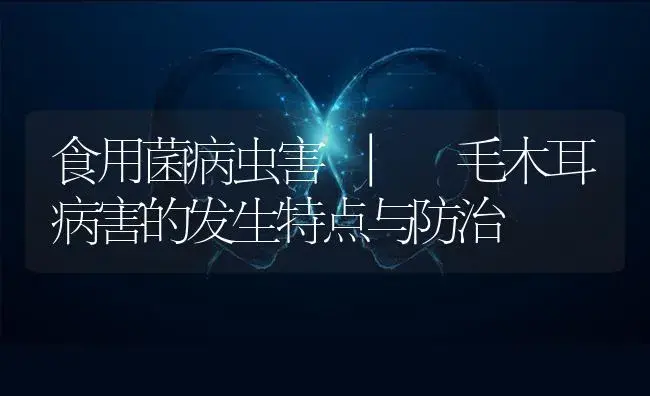 “五办法”有效攻乱金针菇乌尾病 | 菌菇种植