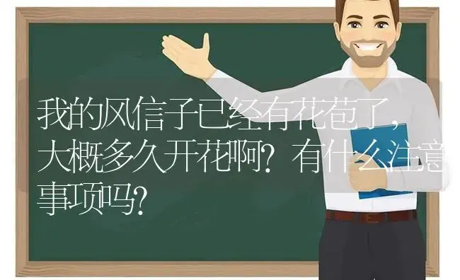 我的风信子已经有花苞了，大概多久开花啊?有什么注意事项吗？ | 绿植常识