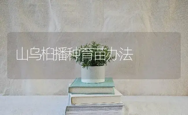 山乌桕播种育苗办法 | 特种种植