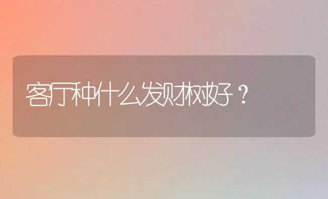 客厅种什么发财树好？ | 多肉养殖