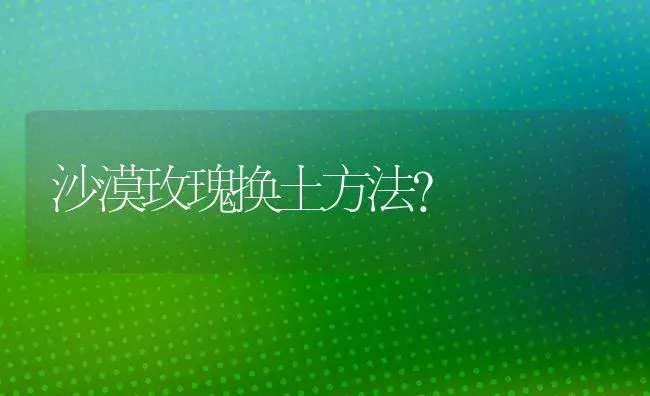 沙漠玫瑰换土方法？ | 绿植常识