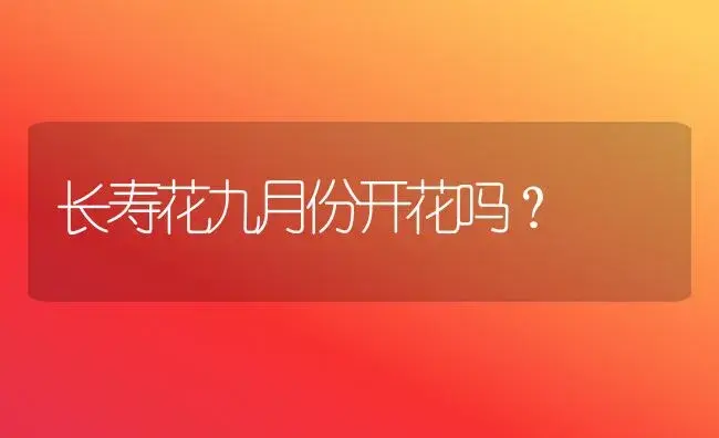 长寿花九月份开花吗？ | 多肉养殖