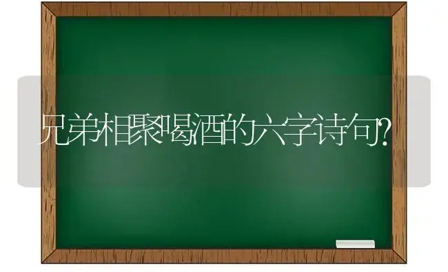 西府海棠盆景要怎样管理？ | 绿植常识