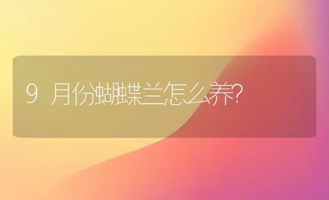 9月份蝴蝶兰怎么养？ | 绿植常识