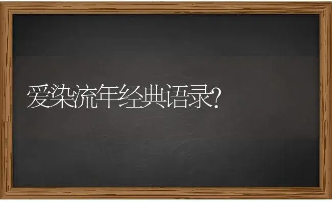 爱染流年经典语录？ | 多肉养殖