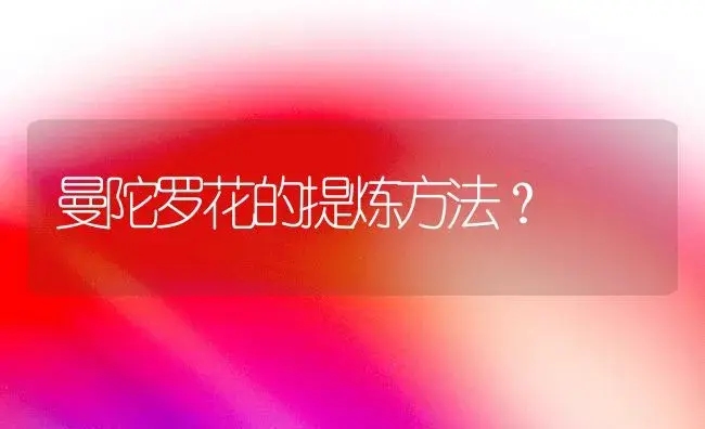 曼陀罗花的提炼方法？ | 绿植常识