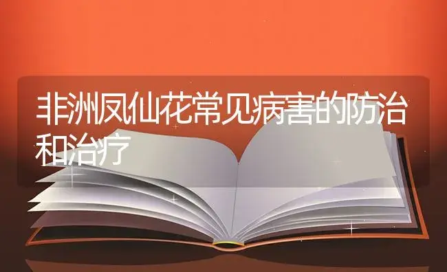 非洲凤仙花常见病害的防治和治疗 | 特种种植