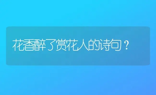 花香醉了赏花人的诗句？ | 绿植常识