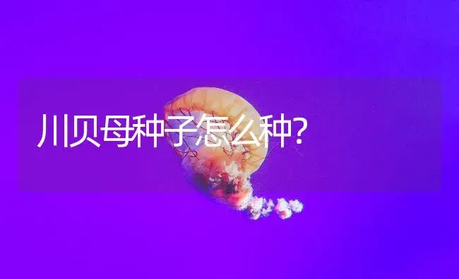 川贝母种子怎么种？ | 药材种植