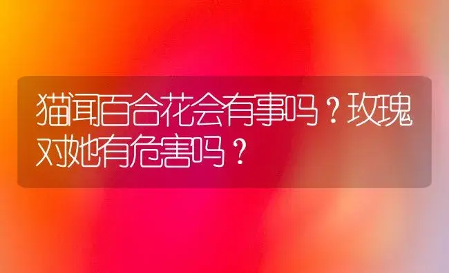 猫闻百合花会有事吗？玫瑰对她有危害吗？ | 绿植常识