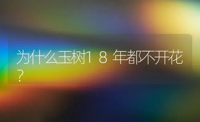 为什么玉树18年都不开花？ | 多肉养殖