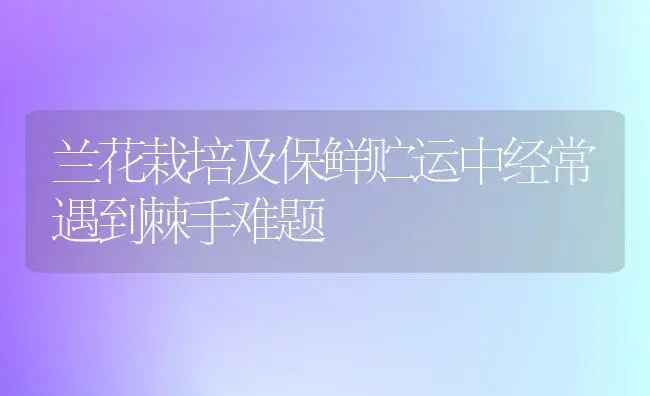 兰花栽培及保鲜贮运中经常遇到棘手难题 | 家庭养花