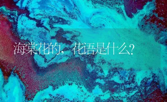 海棠花的，花语是什么？ | 绿植常识