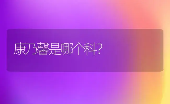 康乃馨是哪个科？ | 绿植常识