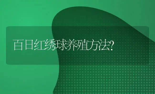 百日红绣球养殖方法？ | 绿植常识