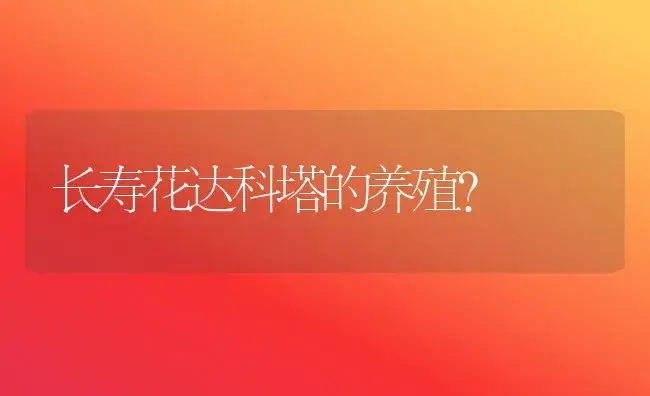 长寿花达科塔的养殖？ | 多肉养殖