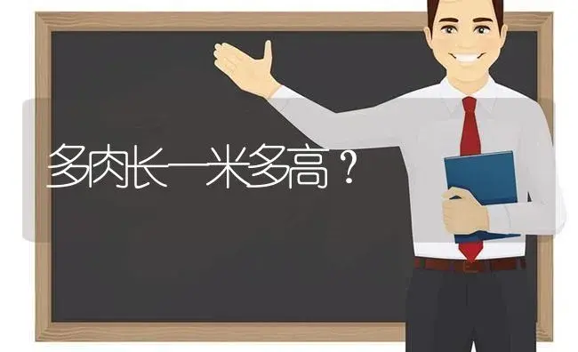多肉长一米多高？ | 多肉养殖