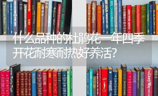 什么品种的杜鹃花一年四季开花耐寒耐热好养活？ | 绿植常识