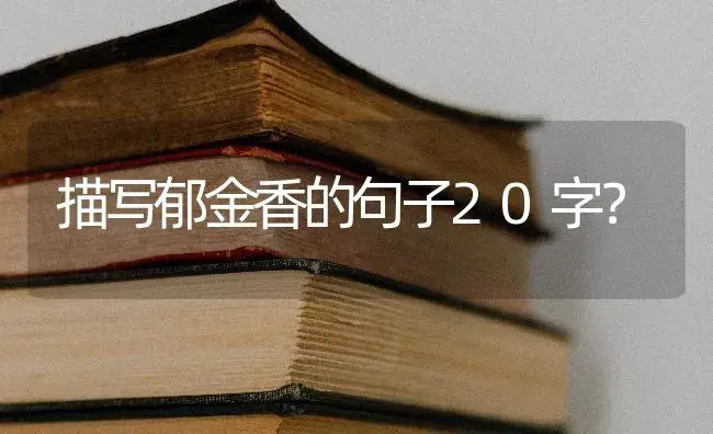 描写郁金香的句子20字？ | 绿植常识