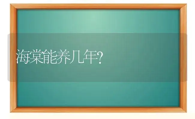 海棠能养几年？ | 绿植常识