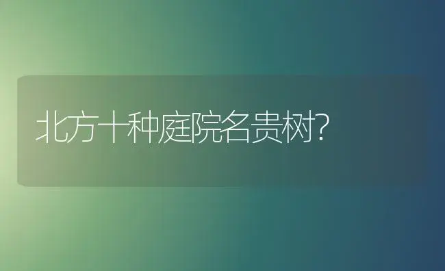 北方十种庭院名贵树？ | 多肉养殖