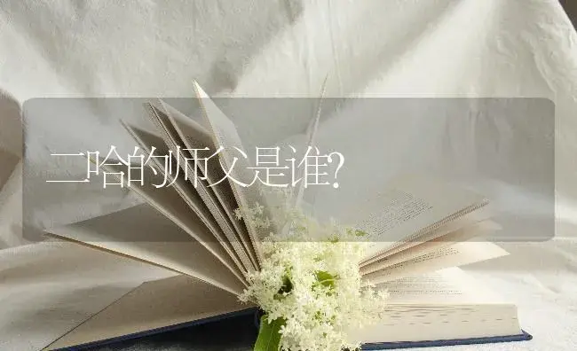 二哈的师父是谁？ | 绿植常识