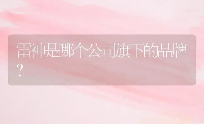 雷神是哪个公司旗下的品牌？ | 多肉养殖