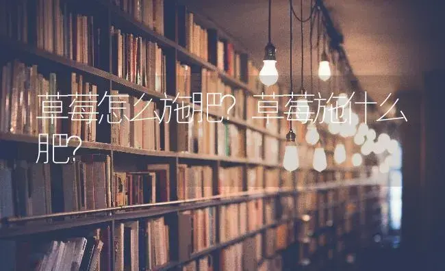 草莓怎么施肥？草莓施什么肥？ | 果木种植