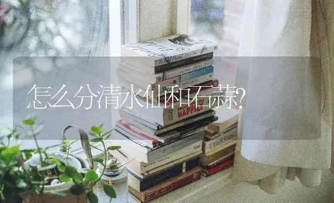 怎么分清水仙和石蒜？ | 绿植常识