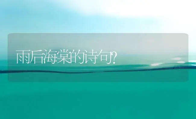 雨后海棠的诗句？ | 绿植常识