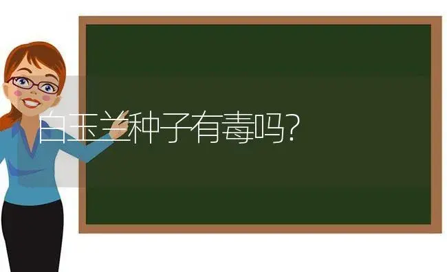 白玉兰种子有毒吗？ | 绿植常识