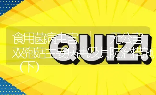 无公害双孢菇主要病害及其防治措施（下） | 菌菇种植