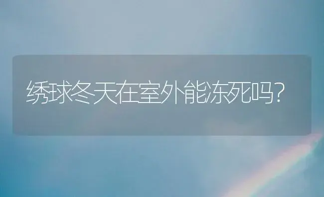 绣球冬天在室外能冻死吗？ | 绿植常识