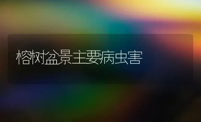 榕树盆景主要病虫害 | 家庭养花