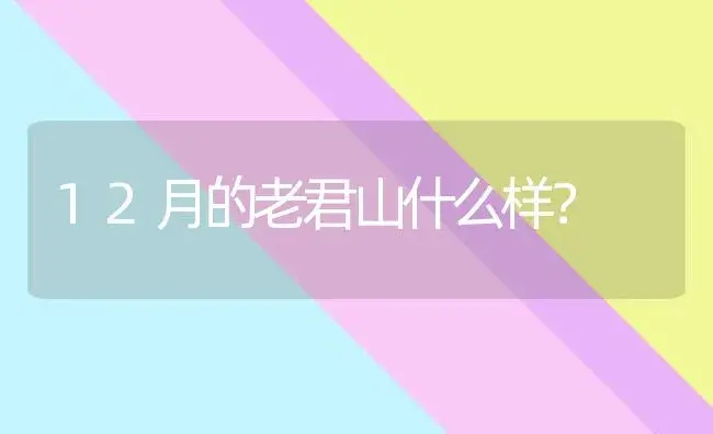 雪莲果孕妇可以吃吗？ | 多肉养殖