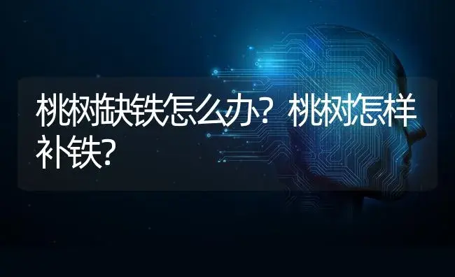 桃树缺铁怎么办？桃树怎样补铁？ | 果木种植