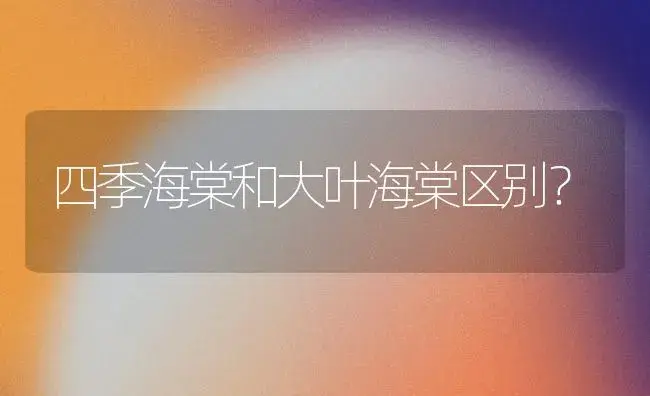 女朋友护士姐姐送什么花？ | 绿植常识