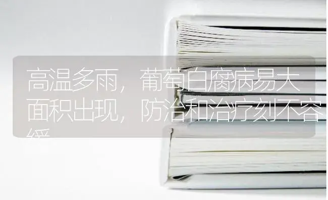 高温多雨，葡萄白腐病易大面积出现，防治和治疗刻不容缓。 | 果木种植