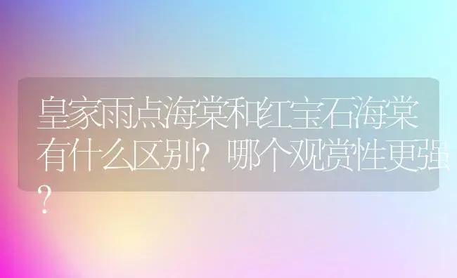 皇家雨点海棠和红宝石海棠有什么区别？哪个观赏性更强？ | 绿植常识